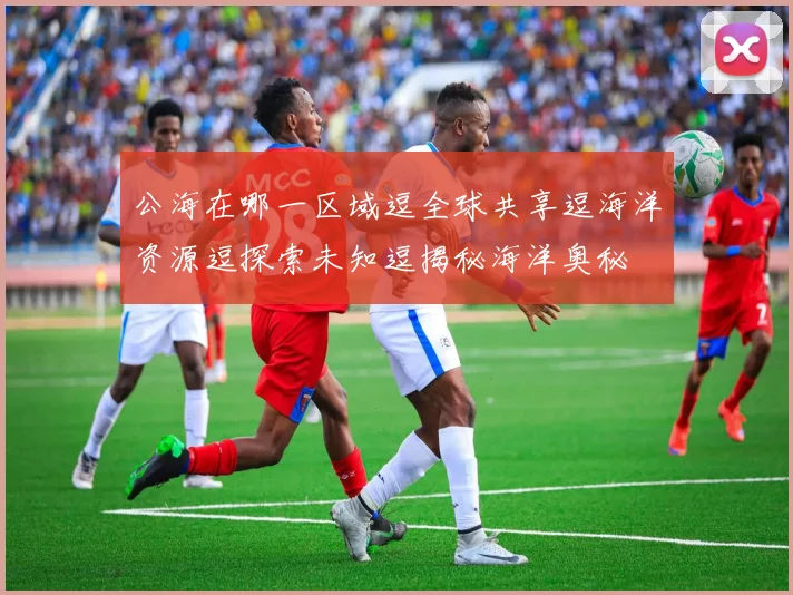 公海在哪一区域逗全球共享逗海洋资源逗探索未知逗揭秘海洋奥秘