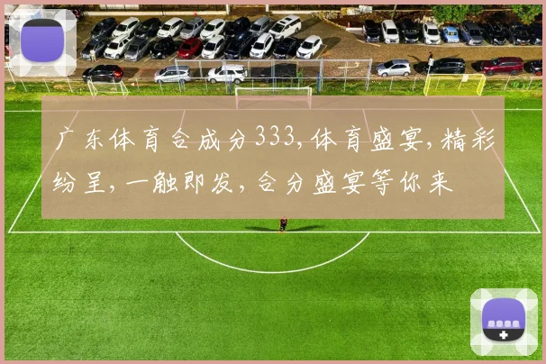 广东体育合成分333,体育盛宴,精彩纷呈,一触即发,合分盛宴等你来